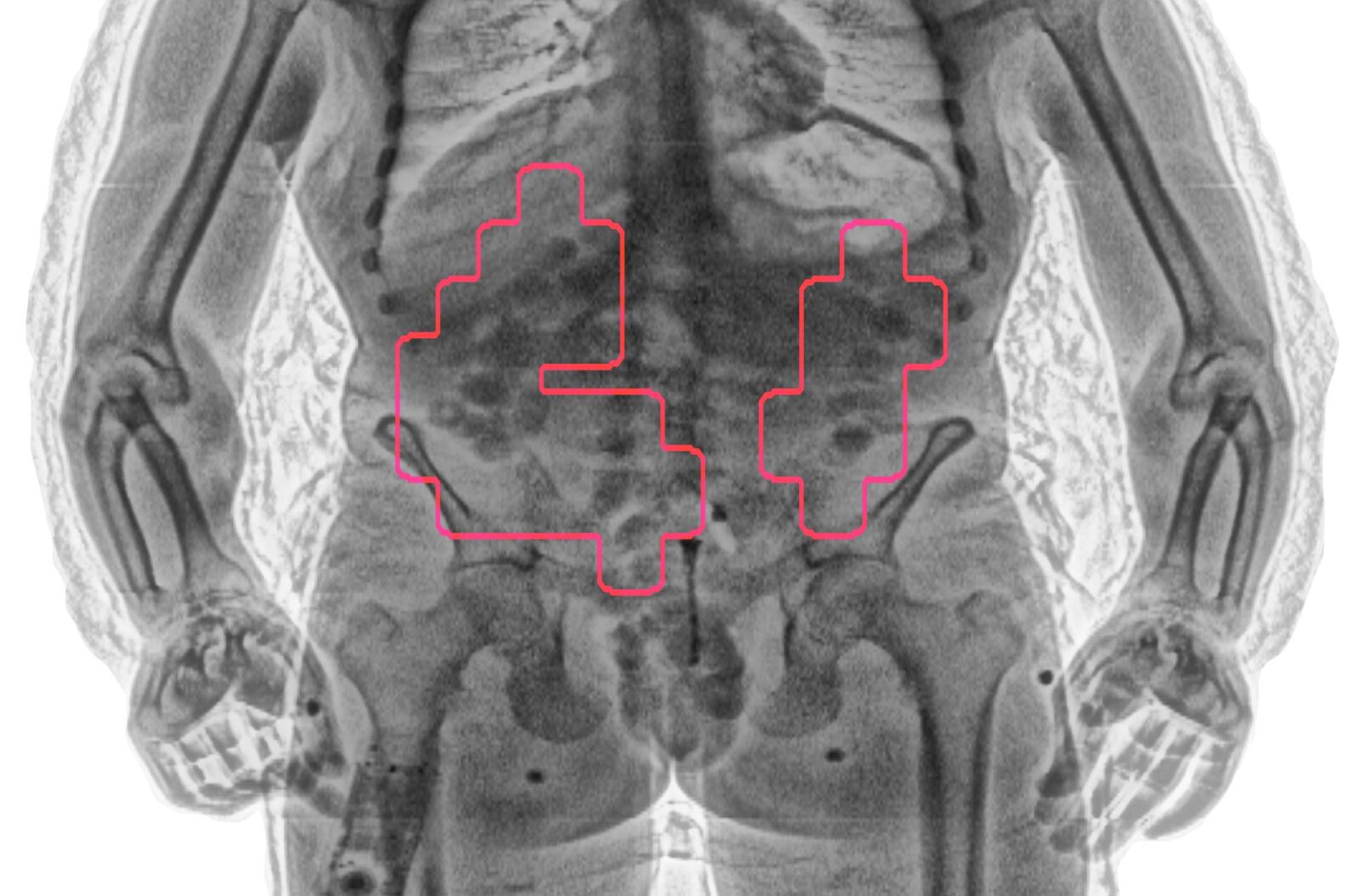 Case_conpass3 - LINEV Systems US